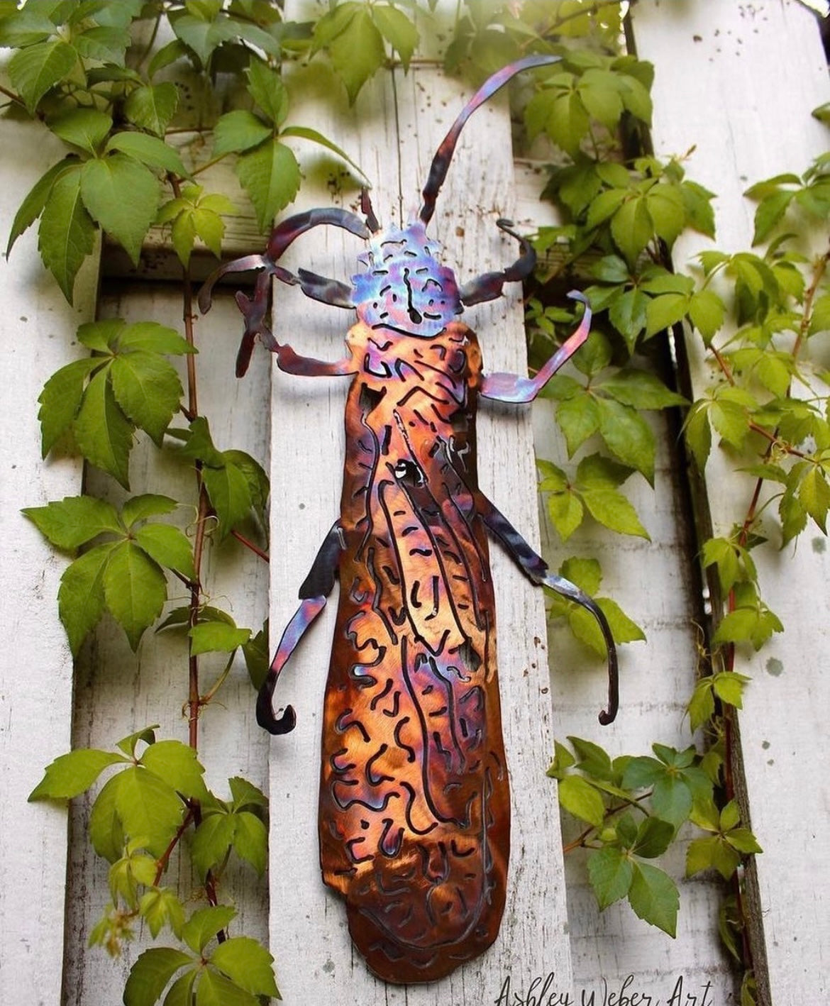 Stainless Steel Stonefly