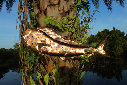 Stainless Steel Mahi